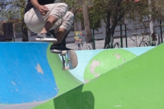 Zorro con un flip