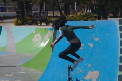 Flip fakie