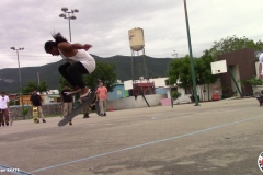 SKATE1