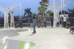 Juego de SKATE