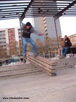 rene-noseslide