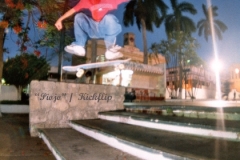 piojo-flip-parke-mendez